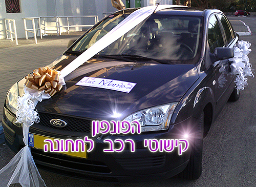 ערכת קישוטי רכב לחתונה