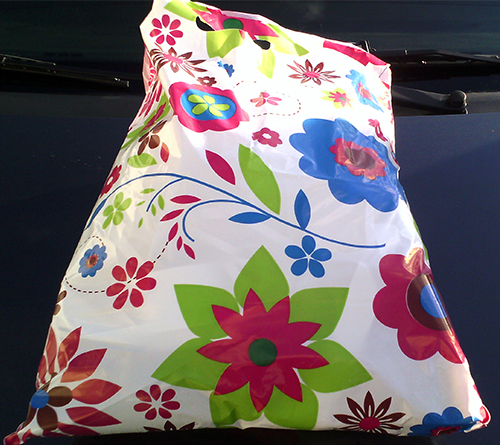 ערכת קישוטי רכב לחתונה