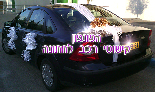 ערכת קישוטי רכב לחתונה