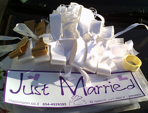 ערכת קישוטי רכב לחתונה